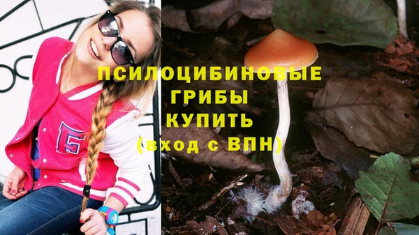 эйфоретик Нефтегорск