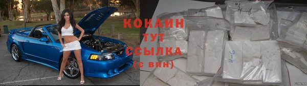 молекула духа Навашино