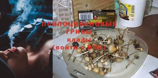 гидропоника Покачи