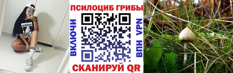 Галлюциногенные грибы MAGIC MUSHROOMS  Олонец 